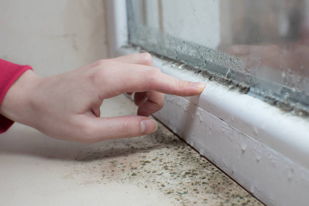 Best Mold Remediation for Rental Properties  in USA